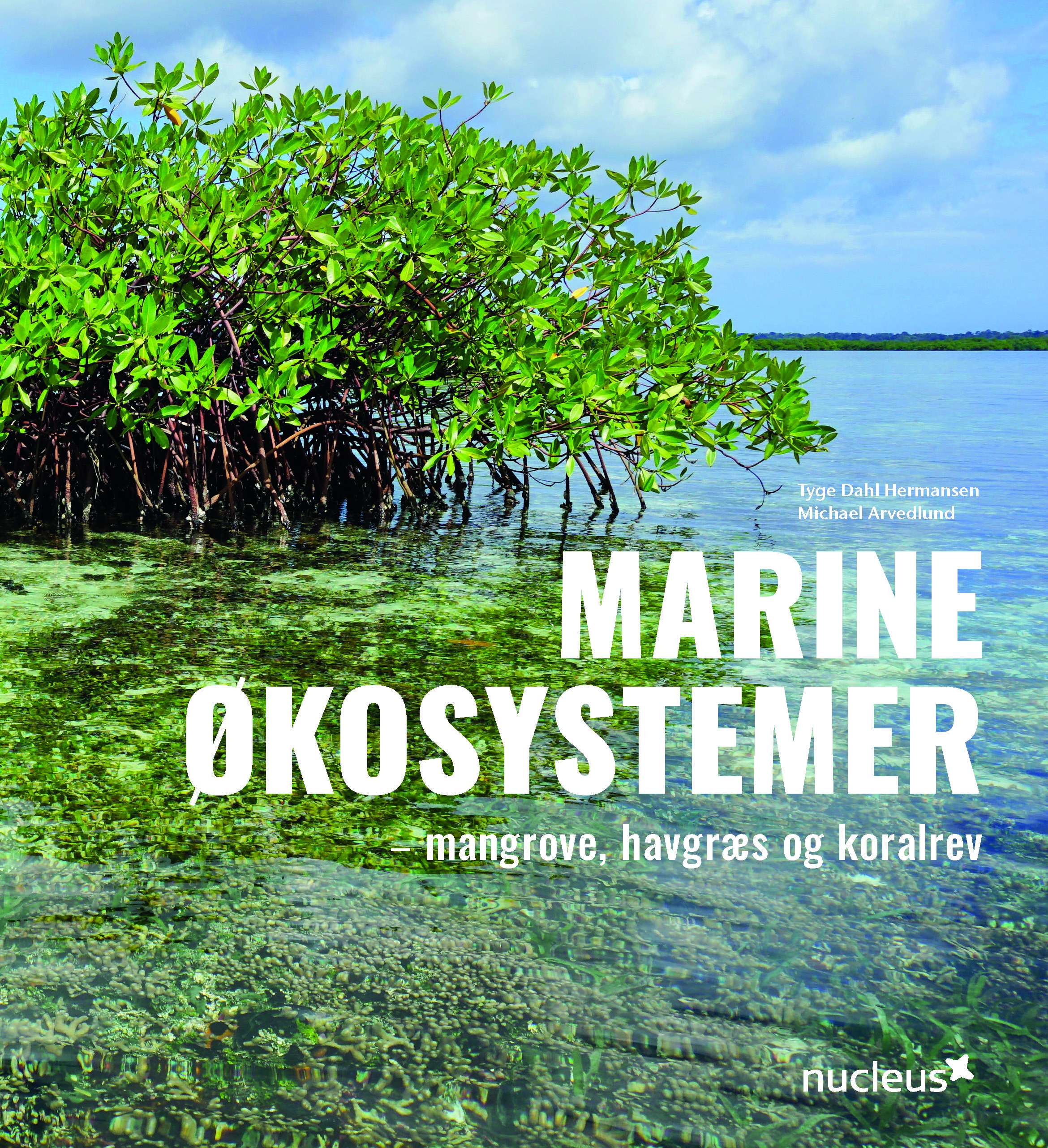 Marine økosystemer